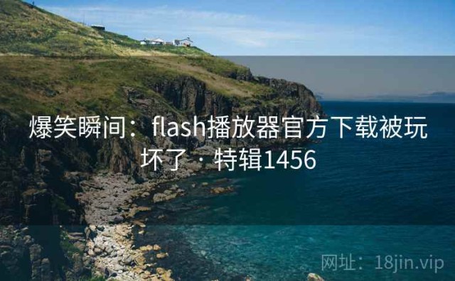 爆笑瞬间：flash播放器官方下载被玩坏了 · 特辑1456