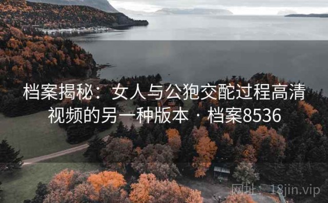 档案揭秘：女人与公狍交酡过程高清视频的另一种版本 · 档案8536