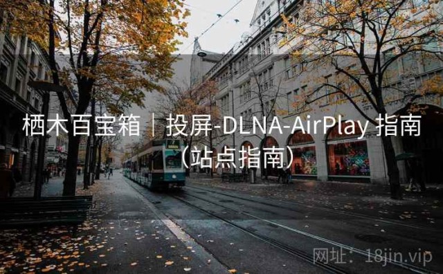 栖木百宝箱｜投屏-DLNA-AirPlay 指南（站点指南）
