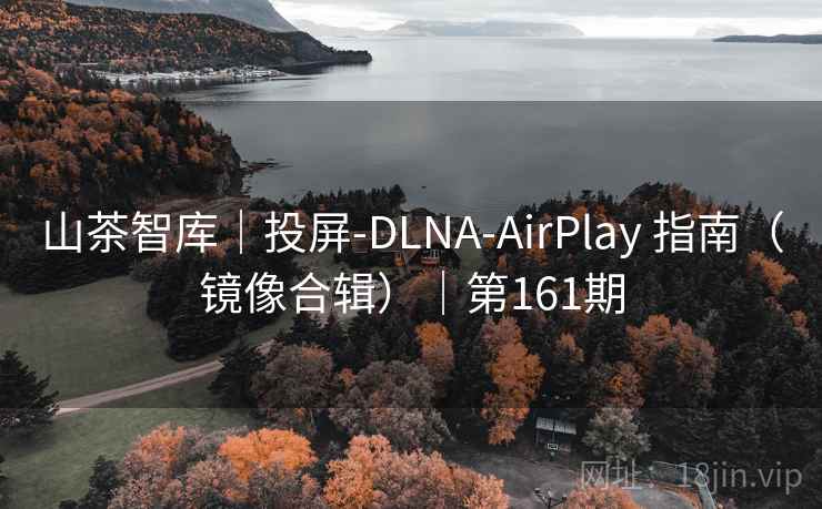 山茶智库|投屏-DLNA-AirPlay 指南(镜像合辑)|第161期 山茶智库|投屏-DLNA-AirPlay 指南(镜像合辑)|第161期