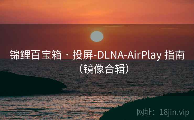 锦鲤百宝箱 · 投屏-DLNA-AirPlay 指南（镜像合辑）