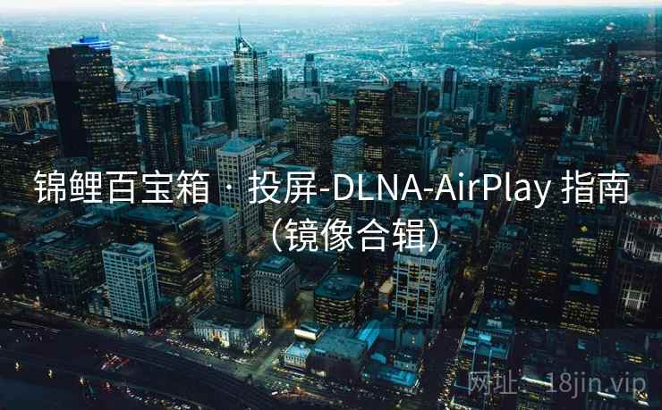 锦鲤百宝箱 · 投屏-DLNA-AirPlay 指南（镜像合辑）